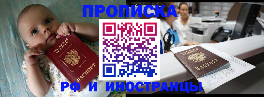 прописка поиск в Алексеевке