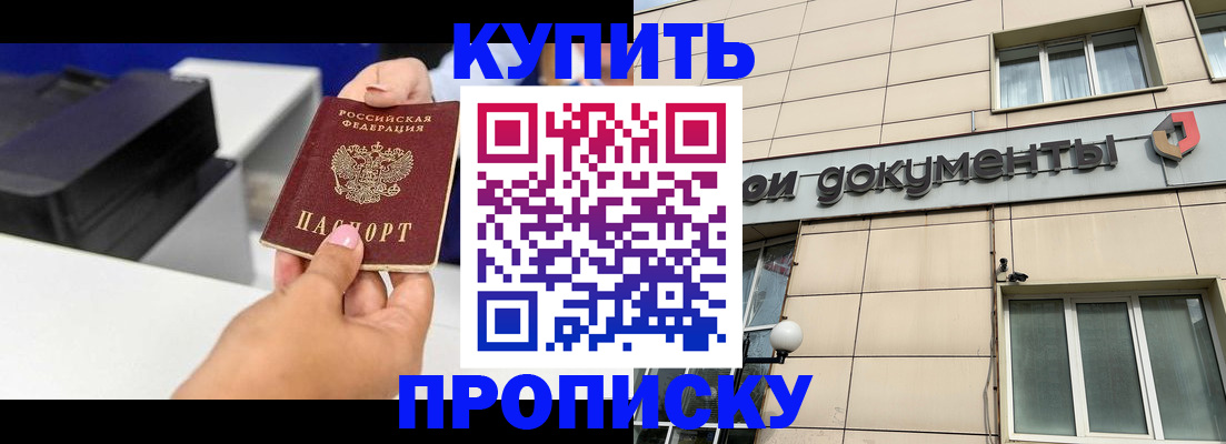 прописка паспорт в Алексеевке